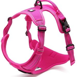 Dog Harness